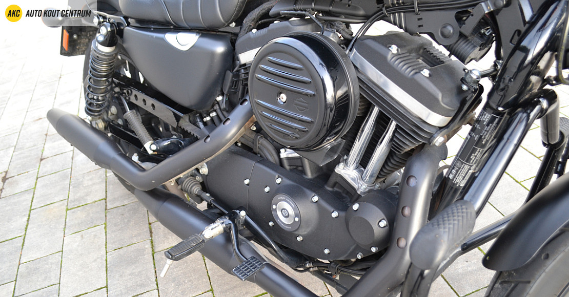 Harley-Davidson XL883N IRON